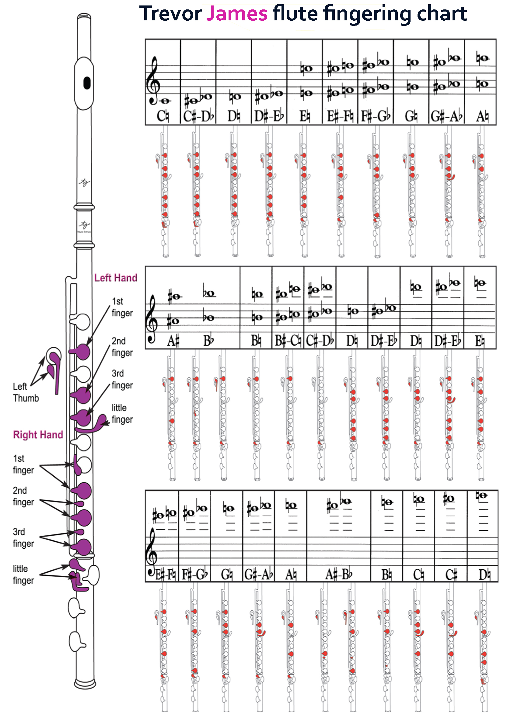 Flute Notes And Finger Chart